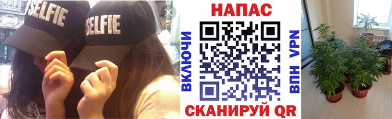 Что такое Суджа КОКАИН  Меф мяу мяу  ГАШИШ  Каннабис 