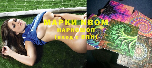 индика Себеж