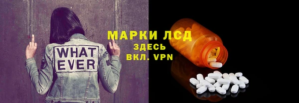 индика Себеж