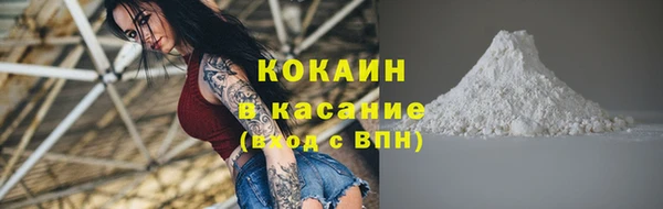 индика Себеж