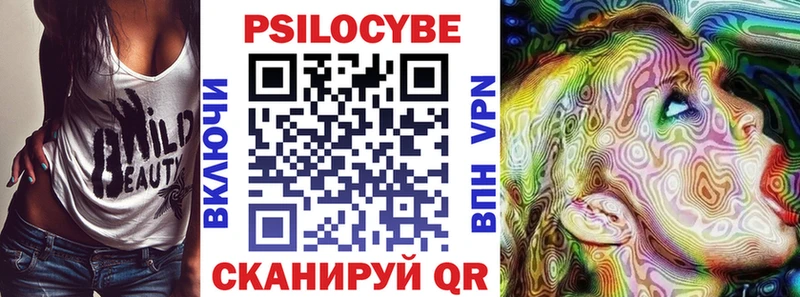 купить   Суджа  Галлюциногенные грибы Psilocybe 